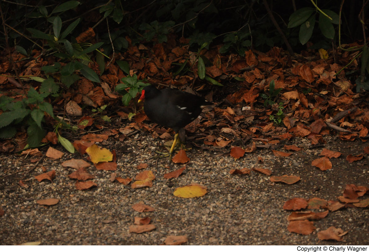 DSC_0791_C.jpg